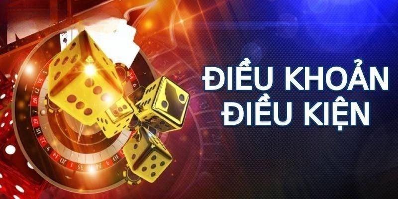 Lý do nên có điều khoản và điều kiện Sao789